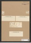 Eunotia ehrenbergii Ralfs. (de-Toni-Nr.: Genus 104, Species 3186) Zeichnungen Sammlung Grunow Nr. 6548 (NHMW-BOT-W0375274)